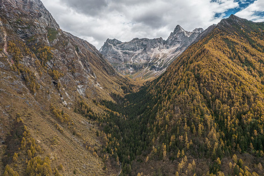 川西高原秋季高山森林自然風(fēng)光