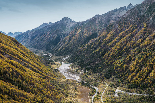川西高原秋季高山森林自然風(fēng)光