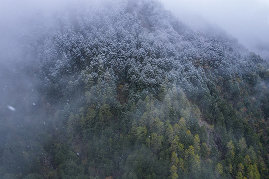 川西高原秋季高山峽谷自然風(fēng)光