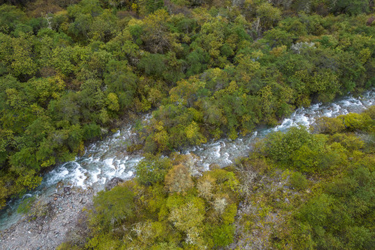 川西高原秋季高山峽谷自然風光