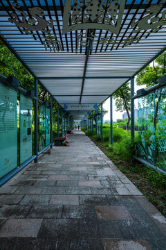 上海嘉定南翔留云湖濕地公園