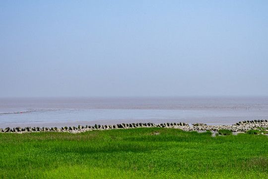 上海浦東南匯嘴觀海公園