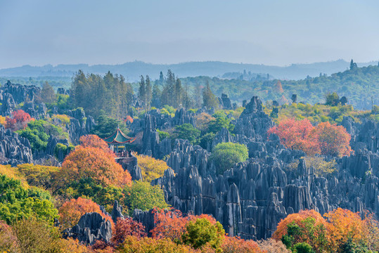 中國云南昆明石林風(fēng)景區(qū)