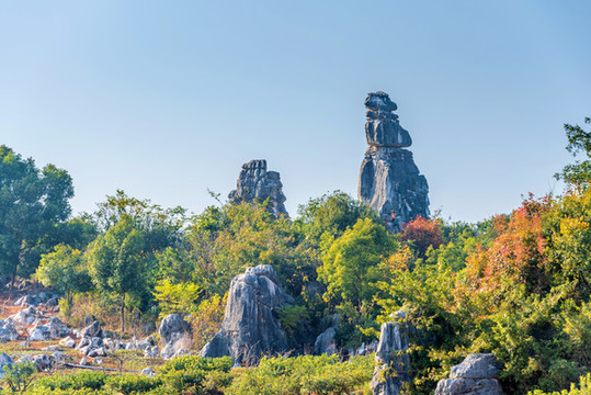 中國云南昆明石林風景區(qū)