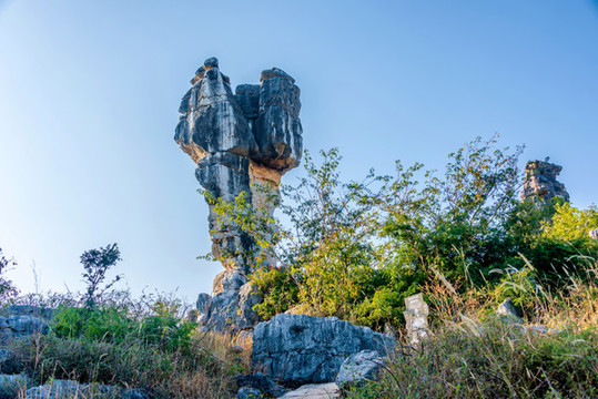 中國云南昆明石林風景區(qū)