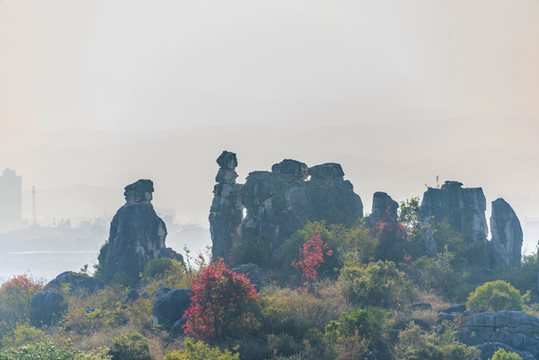 中國(guó)云南昆明石林風(fēng)景區(qū)