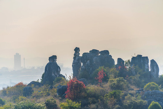 中國(guó)云南昆明石林風(fēng)景區(qū)