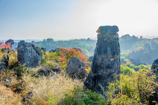 中國(guó)云南昆明石林風(fēng)景區(qū)