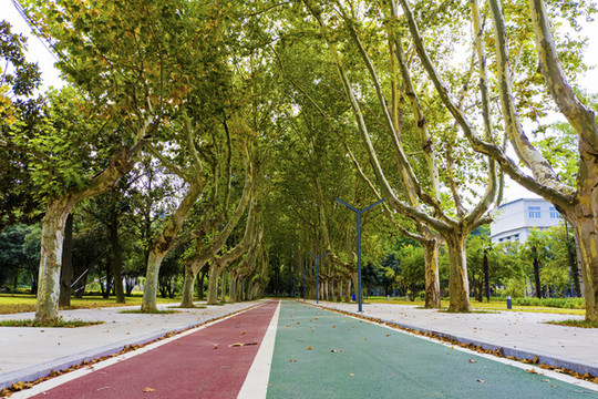 休閑公園步行道