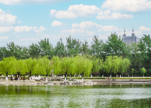 中國(guó)河北廊坊自然公園風(fēng)光