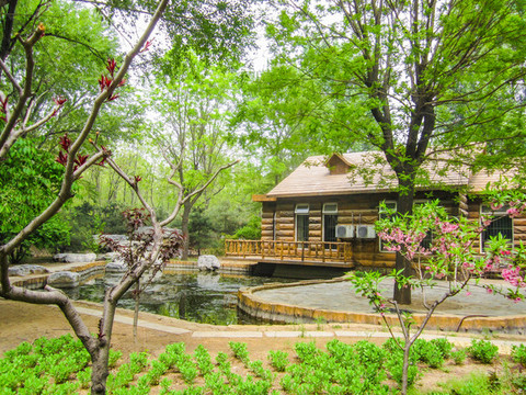中國(guó)河北廊坊自然公園風(fēng)光