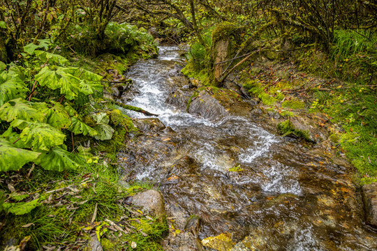 山泉水溪水