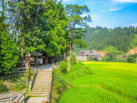 中國(guó)廣西壯族自治區(qū)梯田風(fēng)光