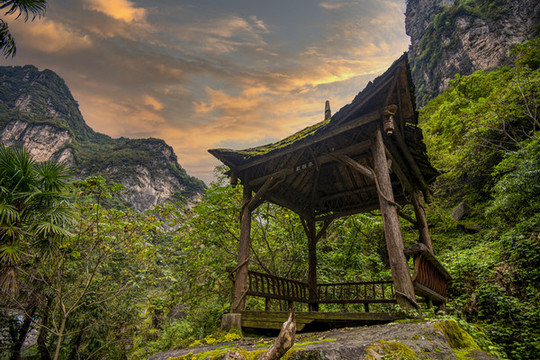 高山景觀