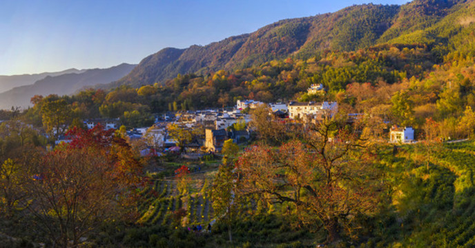 寬幅塔川秋色