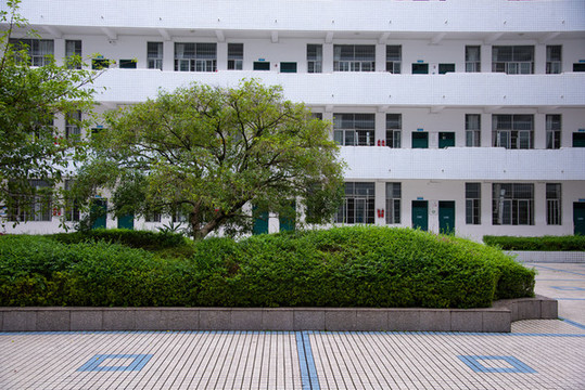 校園景色