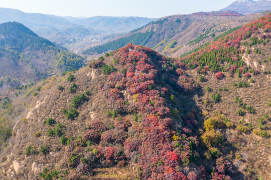 航拍濟(jì)南紅山翠谷景區(qū)的漫山紅葉