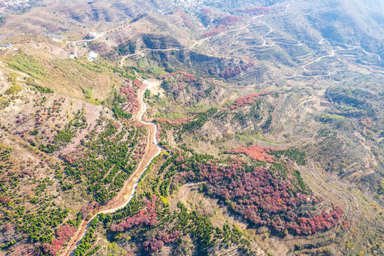 航拍濟(jì)南紅山翠谷景區(qū)的漫山紅葉