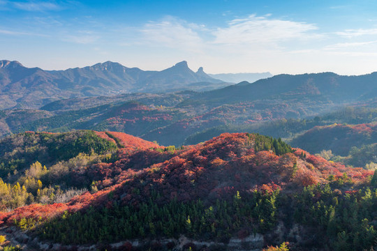 航拍濟(jì)南紅山翠谷景區(qū)的漫山紅葉