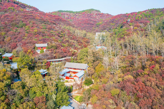航拍濟(jì)南章丘蓮花山紅葉