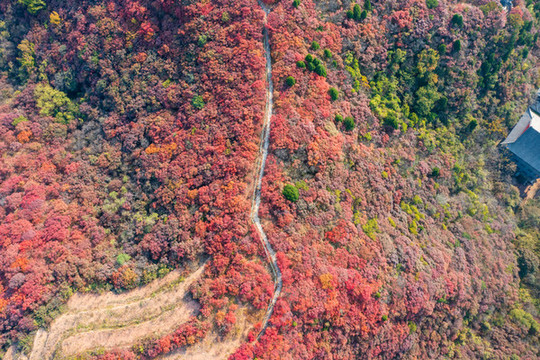 航拍濟(jì)南章丘蓮花山紅葉