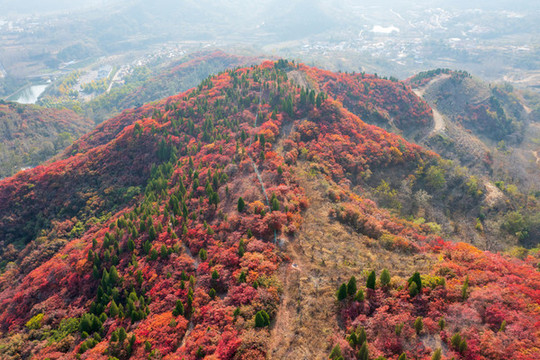 航拍濟(jì)南章丘蓮花山紅葉