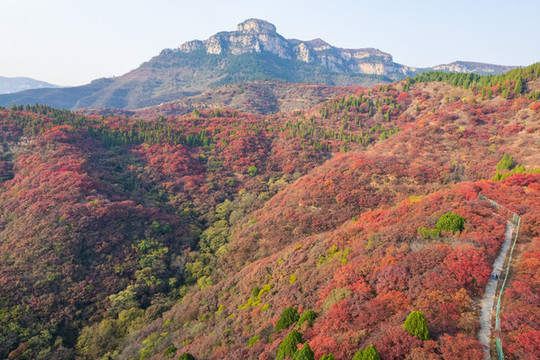 航拍濟南章丘蓮花山紅葉