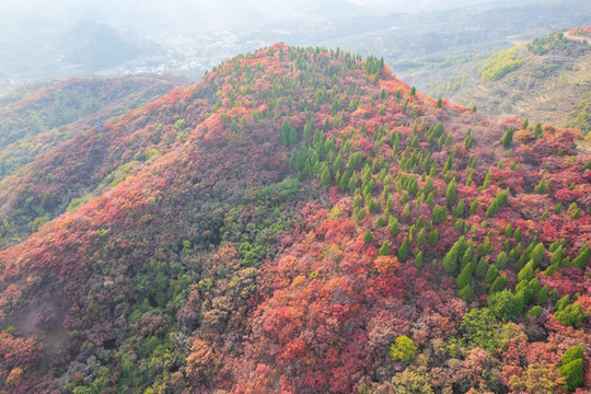 航拍濟(jì)南章丘蓮花山紅葉