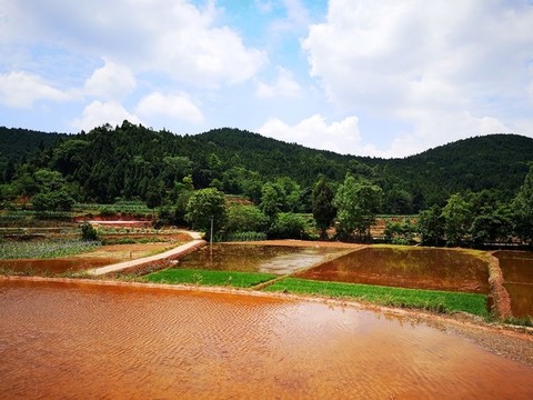 農(nóng)田