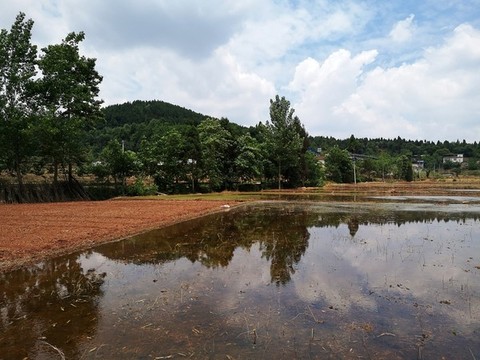 農(nóng)田