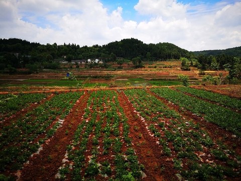 美麗鄉(xiāng)村