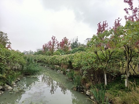 水景觀