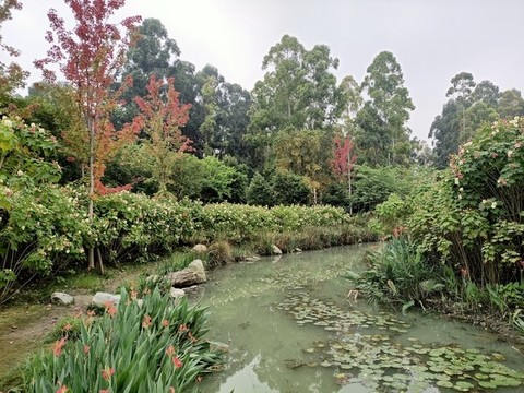 水景觀