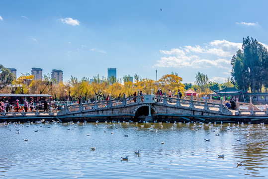 中國云南昆明大觀公園風光