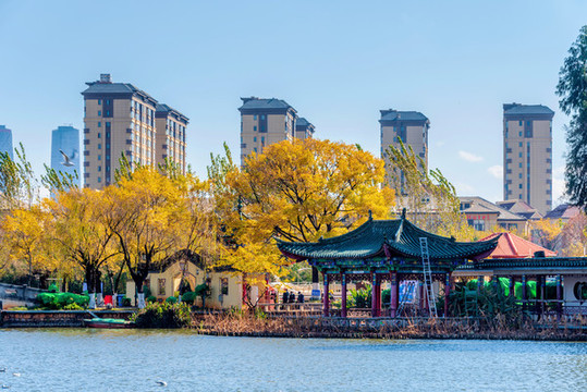 中國云南昆明大觀公園風(fēng)光