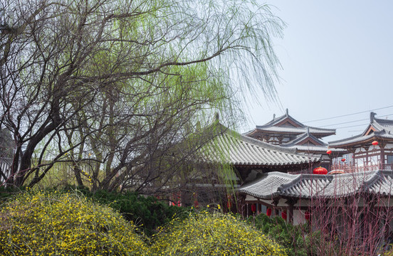 西安青龍寺