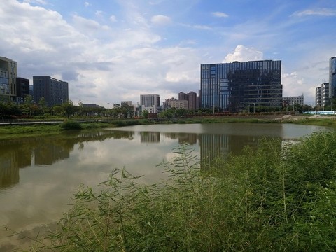 公園湖泊