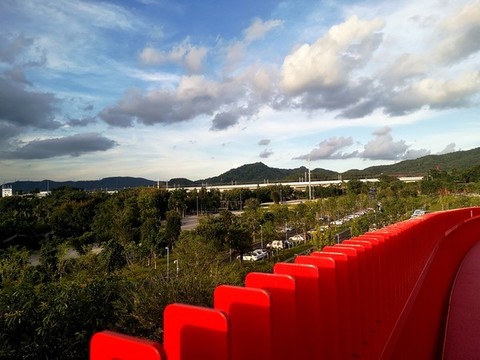 光明虹橋公園風光