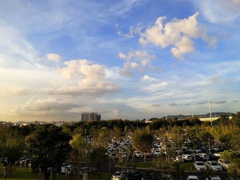 城市公園自然風(fēng)光