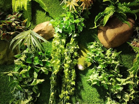 綠植墻