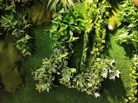 仿真植物墻