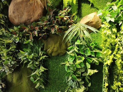 綠植墻