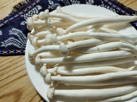 白玉菇