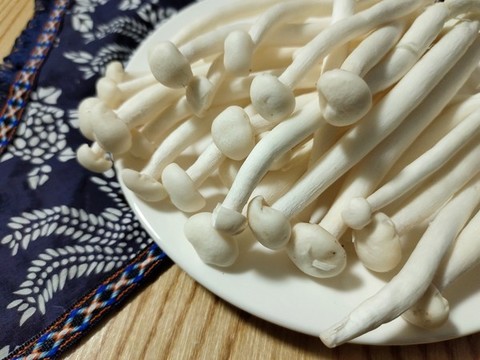 海鮮菇高清大圖