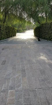 阿聯(lián)酋旅游