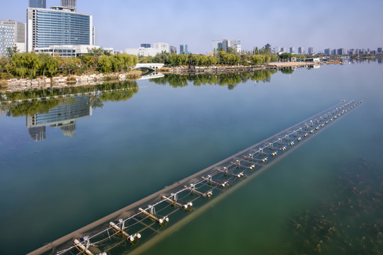 銀川閱海濕地公園