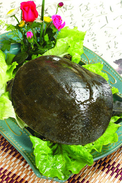 水魚
