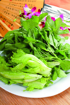 雜菜