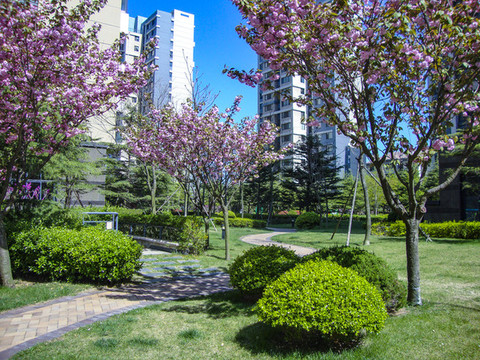 小區(qū)景觀