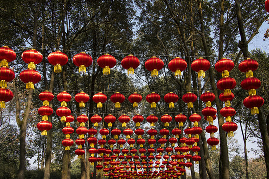 懸掛的紅燈籠